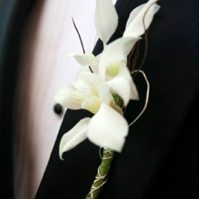 Bridal Flowers Professional Floral Design