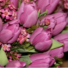 Bridal Flowers Professional Floral Design