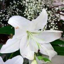 Bridal Flowers Professional Floral Design