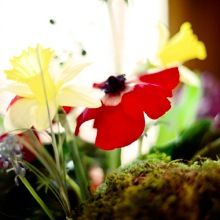 Bridal Flowers Professional Floral Design