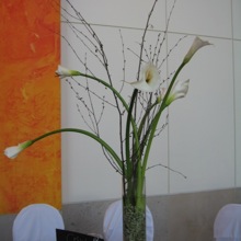 Bridal Flowers Professional Floral Design