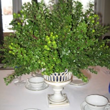 Bridal Flowers Professional Floral Design
