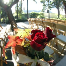 Bridal Flowers Professional Floral Design