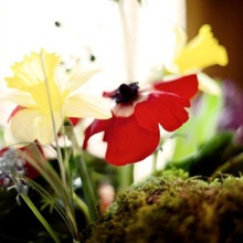Bridal Flowers Professional Floral Design